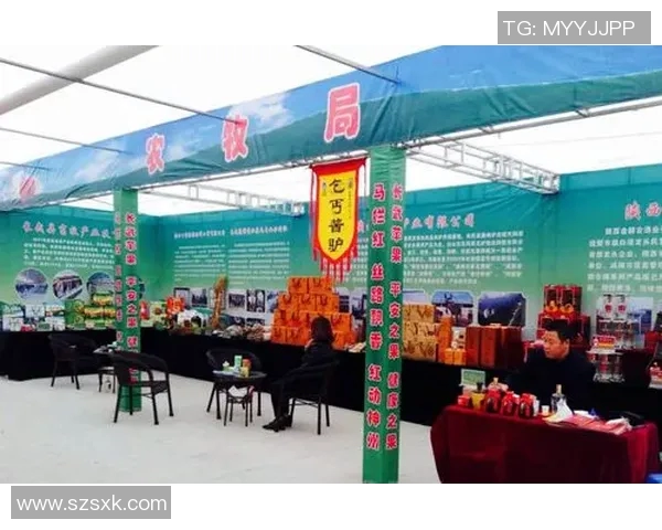 长武县足球比赛直播现场精彩纷呈球迷热情高涨共同见证精彩瞬间