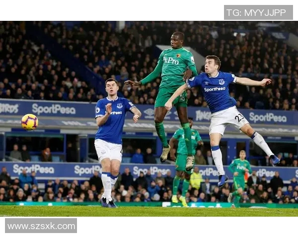 莱斯特城与卡迪夫城精彩对决全场录播回顾与分析 莱斯特城与卡迪夫城精彩对决全场录播回顾与分析