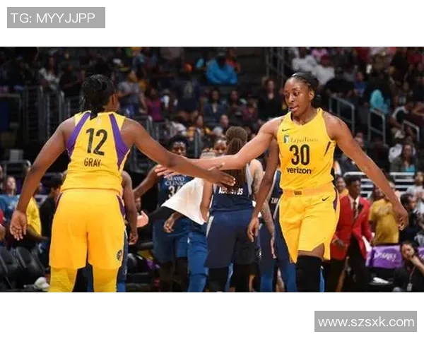 天猫与风暴推迟比赛引发热议球迷期待新赛程安排与影响分析 天猫与风暴推迟比赛引发热议球迷期待新赛程安排与影响分析