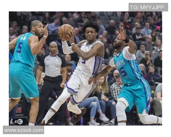 新奥尔良黄蜂队的崛起与挑战：重塑球队未来的关键时刻与战略分析