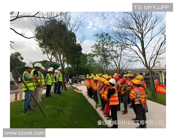 罗马市政府启动城市绿化工程,打造更宜居环境 罗马市政府启动城市绿化工程,打造更宜居环境