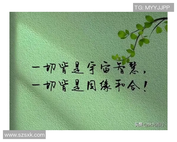 探索四大皆空的深刻哲理与视觉艺术之美，感受心灵的宁静与启迪