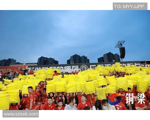 罗塞尔的传奇旅程：从足球场到人生巅峰的奋斗故事