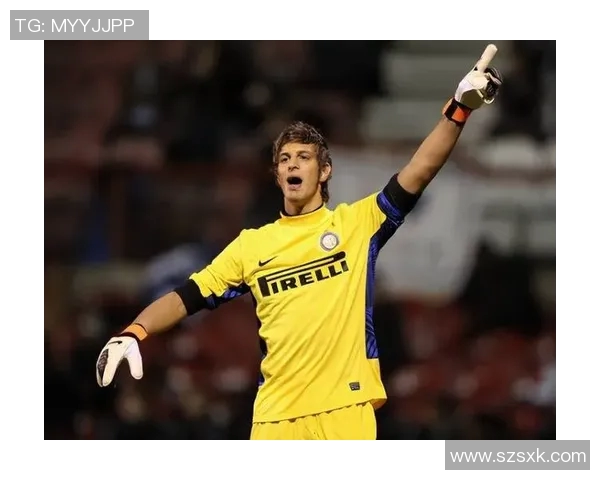 探索迪詹纳罗的艺术魅力与创作历程揭示其背后的灵感与影响力