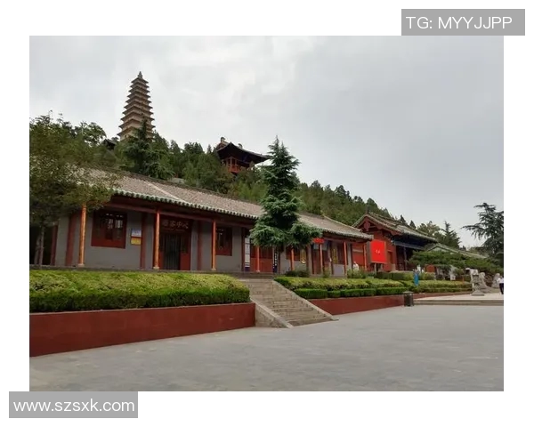 莫雷拉人：探索这一独特文化背后的历史与传统