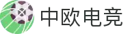 中欧电竞 - 在这里,看懂世界电竞版图